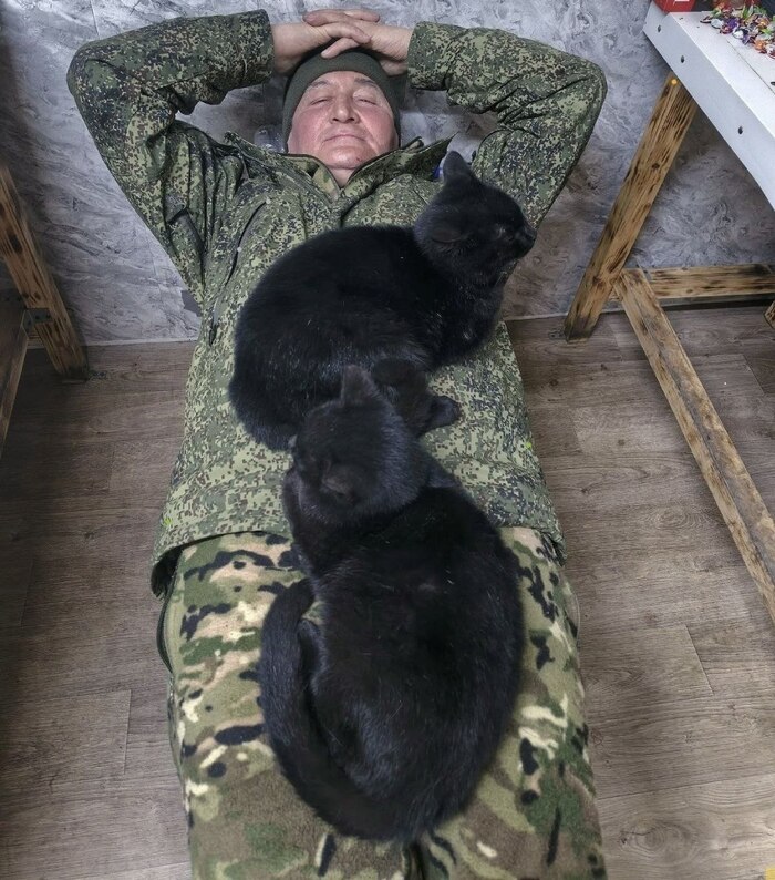Усатые помощники