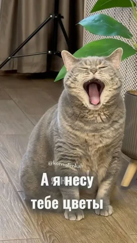 ������ �� �����