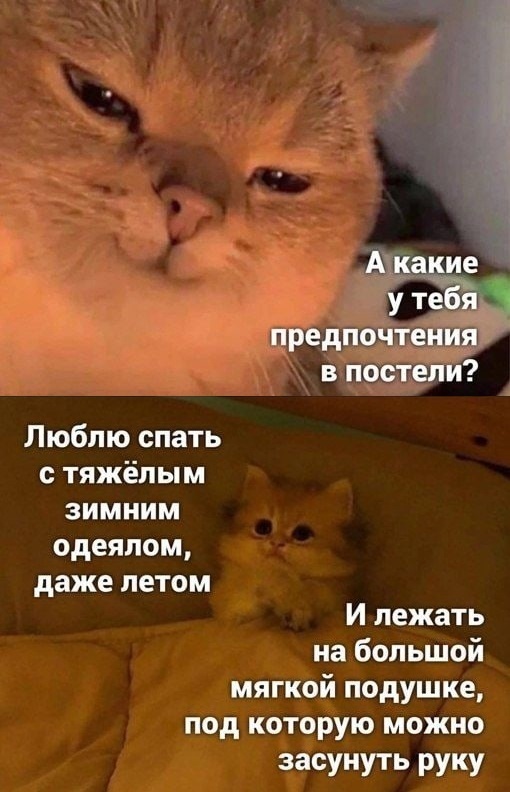 ��������� ����, ������)