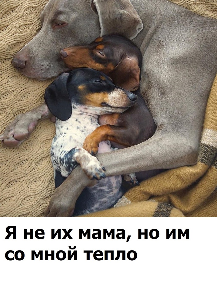 �� ������ ����� � ���������...