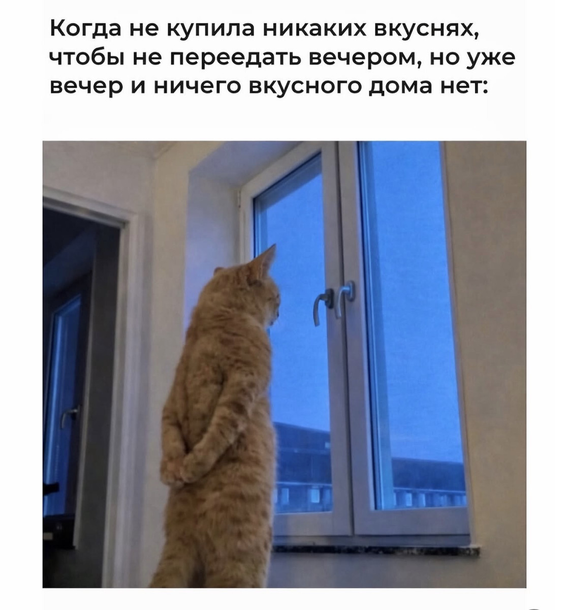 Here are the memes - Series Memes
, Humor, Picture with text, Memes, Strange humor, Longpost