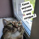 Сообщество - SOBAandCO