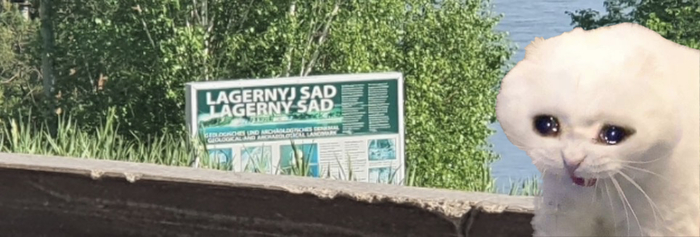 WHY ARE YOU SAD???