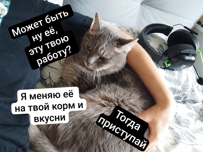 ����� ������� �������� ��������