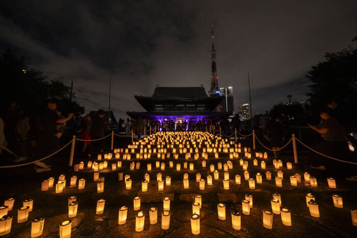 <!--noindex--><a href="https://pikabu.ru/story/noch_svechey_v_tokio_14069583?u=https%3A%2F%2Fcandle-night.tokyo%2F&t=https%3A%2F%2Fcandle-night.tokyo%2F&h=fe621902f49ada16370d623c8b8618201a5a0dcf" title="https://candle-night.tokyo/" target="_blank" rel="nofollow noopener">https://candle-night.tokyo/</a><!--/noindex-->