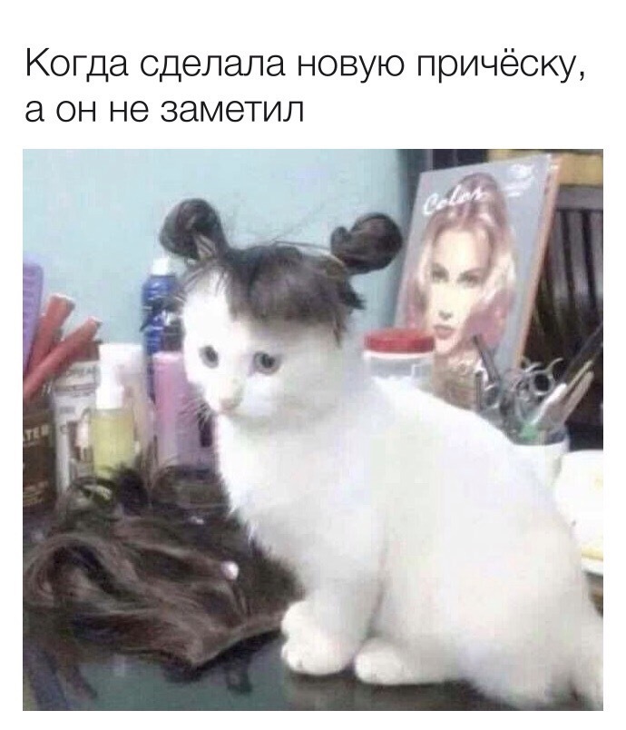 Сходила в парикмахерскую