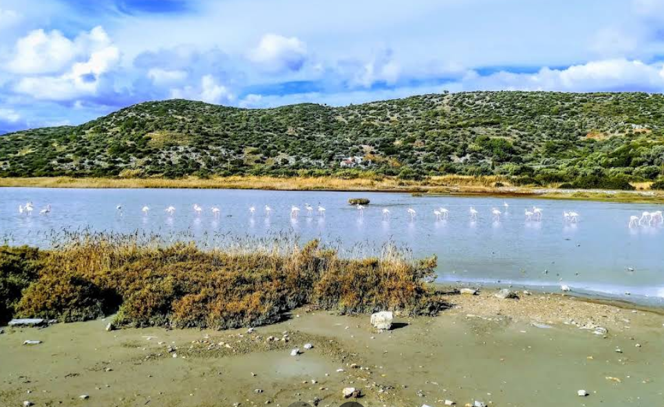 How Pikabu users sailed around Greece on a yacht. Day 7, May 7 - Series Yacht Trips  Reports, My, Sea, Hike, Relaxation, Tourism, Yacht, Yachting, Sail, Sailboat, Travels, Video, Vertical video, Short videos, Longpost, Peekaboo+