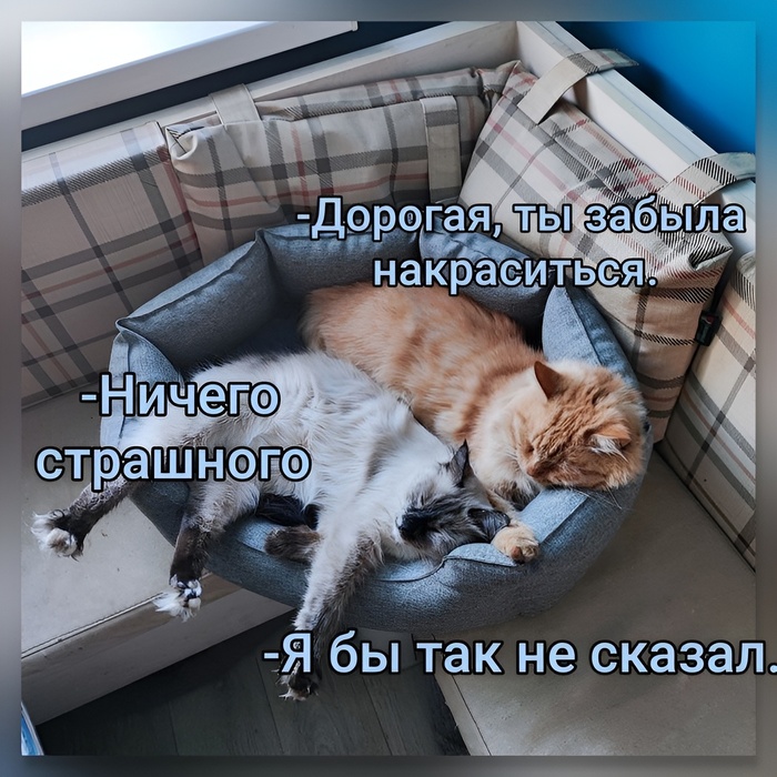 Забыла накраситься