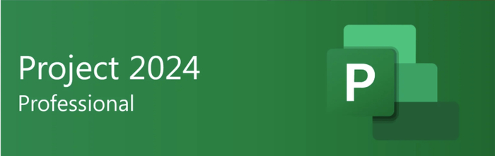 ���� Microsoft Office Project Pro 2024
