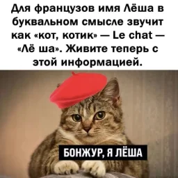 user6295188