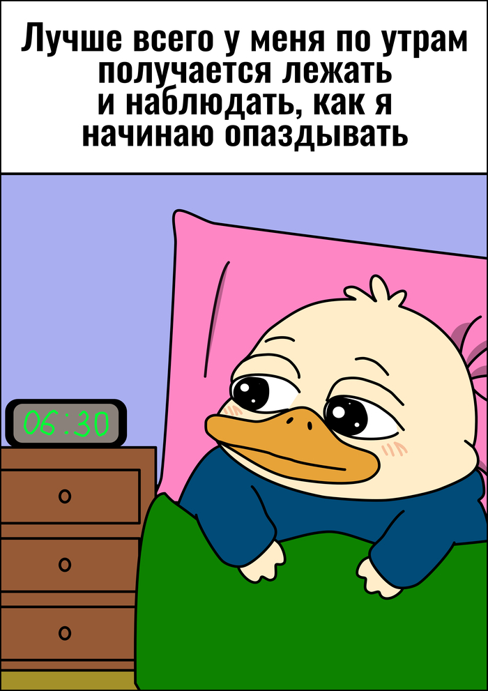 ����������������