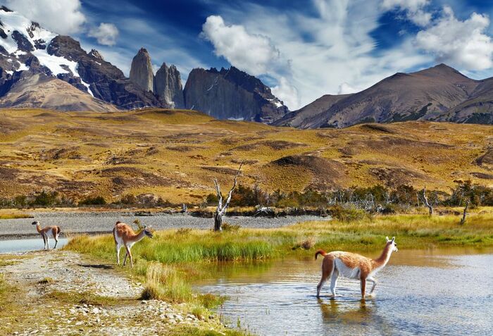 ������������ ���� ������ ���� �����. ���� � ����� <!--noindex--><a href="https://d.pikabu.ru/story/fialki_patagonii_14081938?u=http%3A%2F%2Fequatorial.by&t=equatorial.by&h=97f46799caf5210d17891833f186511f40079827" title="http://equatorial.by" target="_blank" rel="nofollow noopener">equatorial.by</a><!--/noindex-->