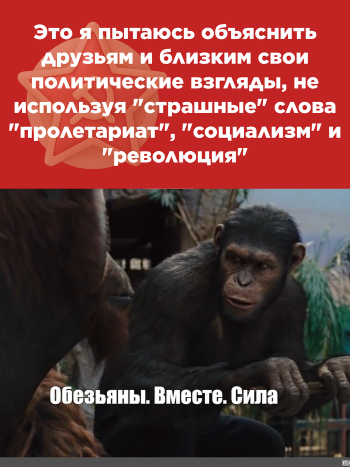 Взгляды