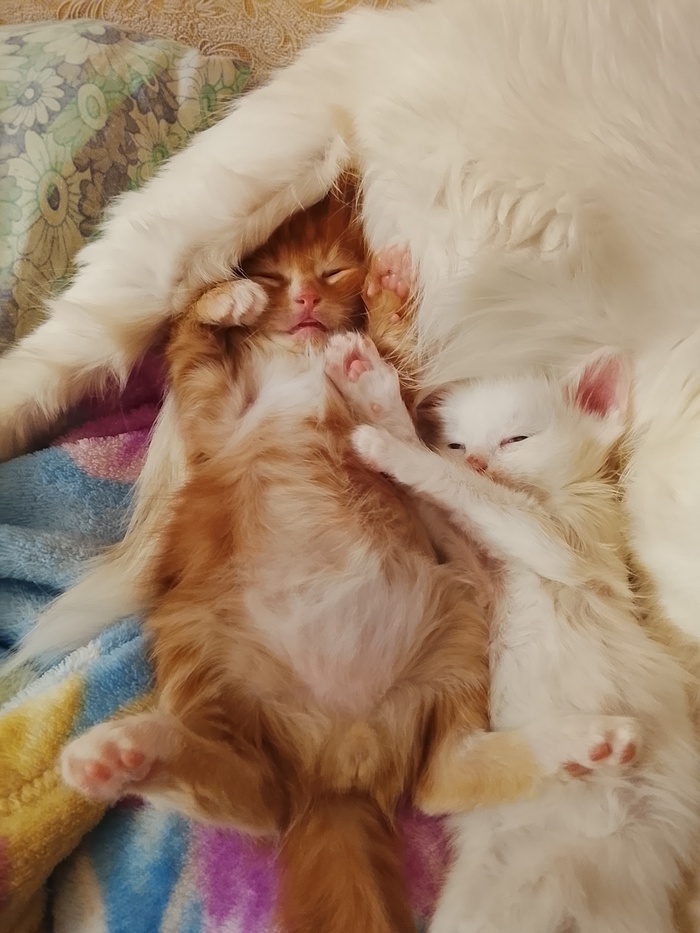 Мои солнышки