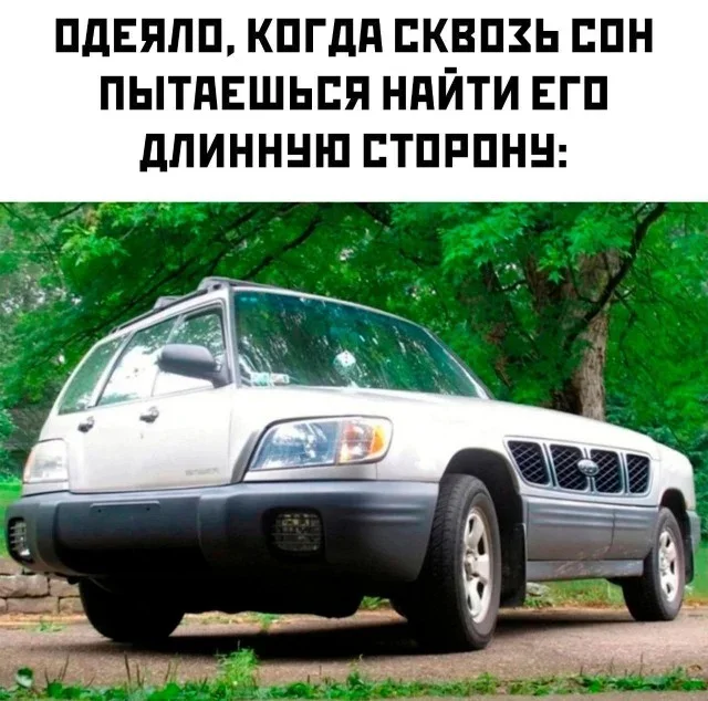 wwzsprki.webp