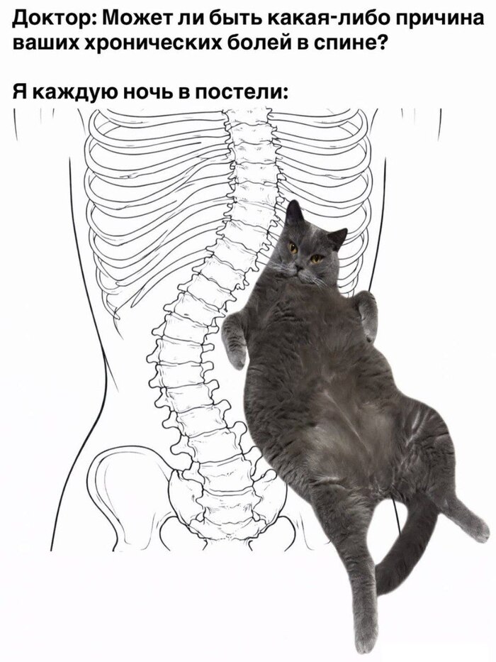 ����� ���� ������� ������