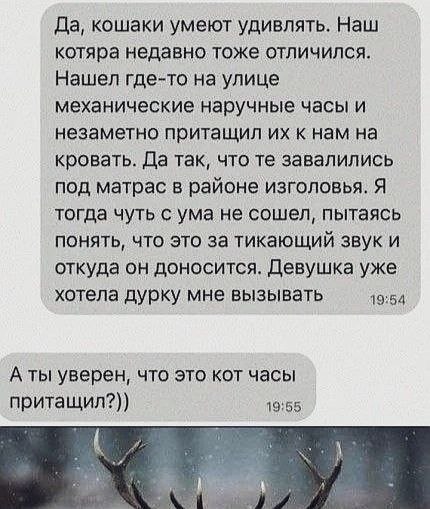 ��� �� ������