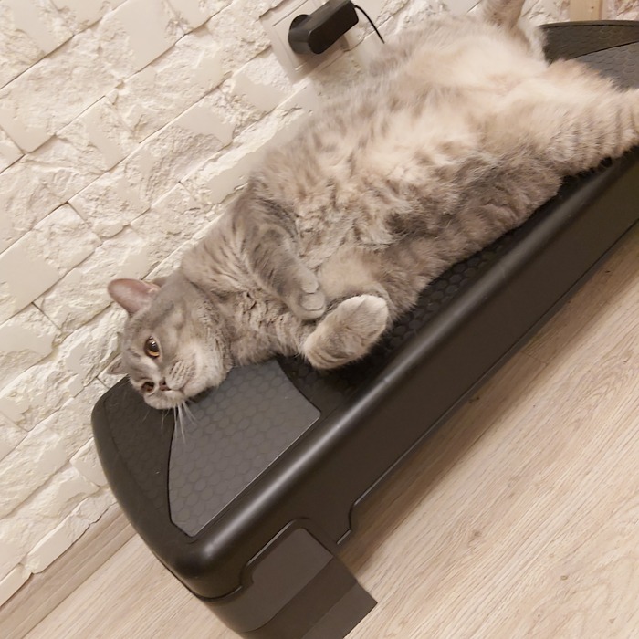 � �� �������. � �� ��������...