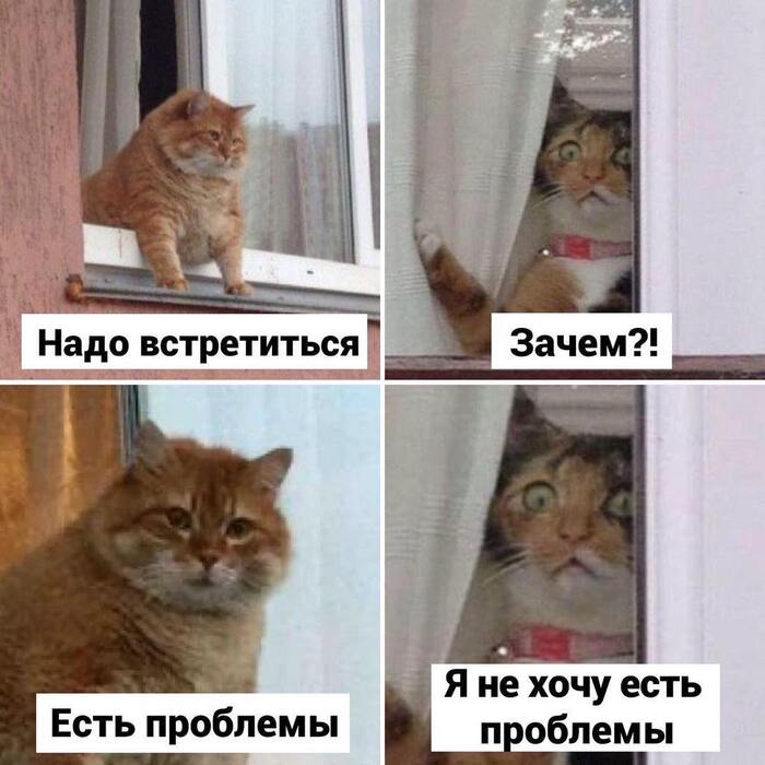 ��������� �������
