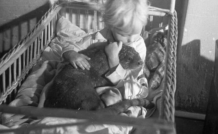 She was born in St. Petersburg and saved people in Warsaw. - My, Poland, Warsaw, Zoo, In the animal world, Amazing, Longpost