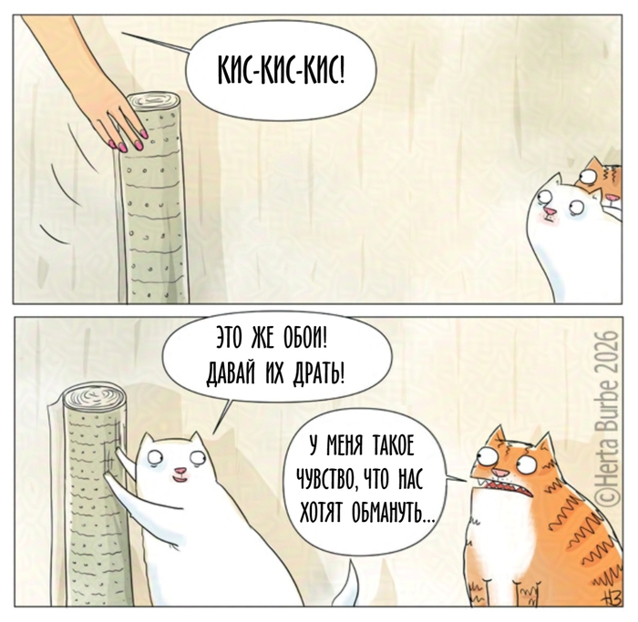 ����