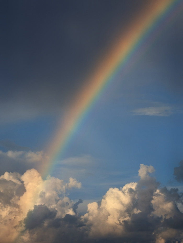Rainbow