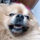 ������ ������������ user8832162
