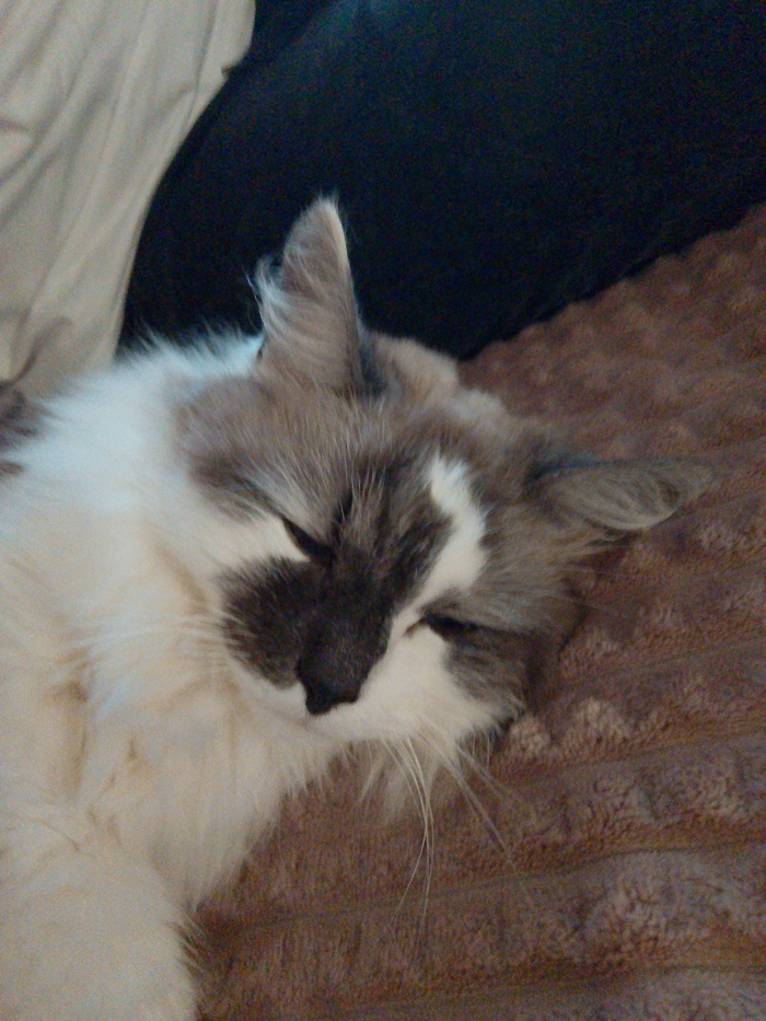����� ���� ����� �������� ����� �� ����� �������� 😿