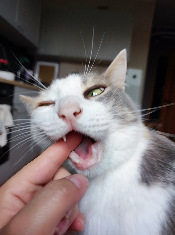 - �� � ������� ����!