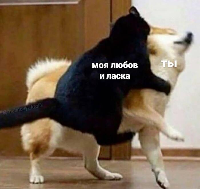 �� ���������