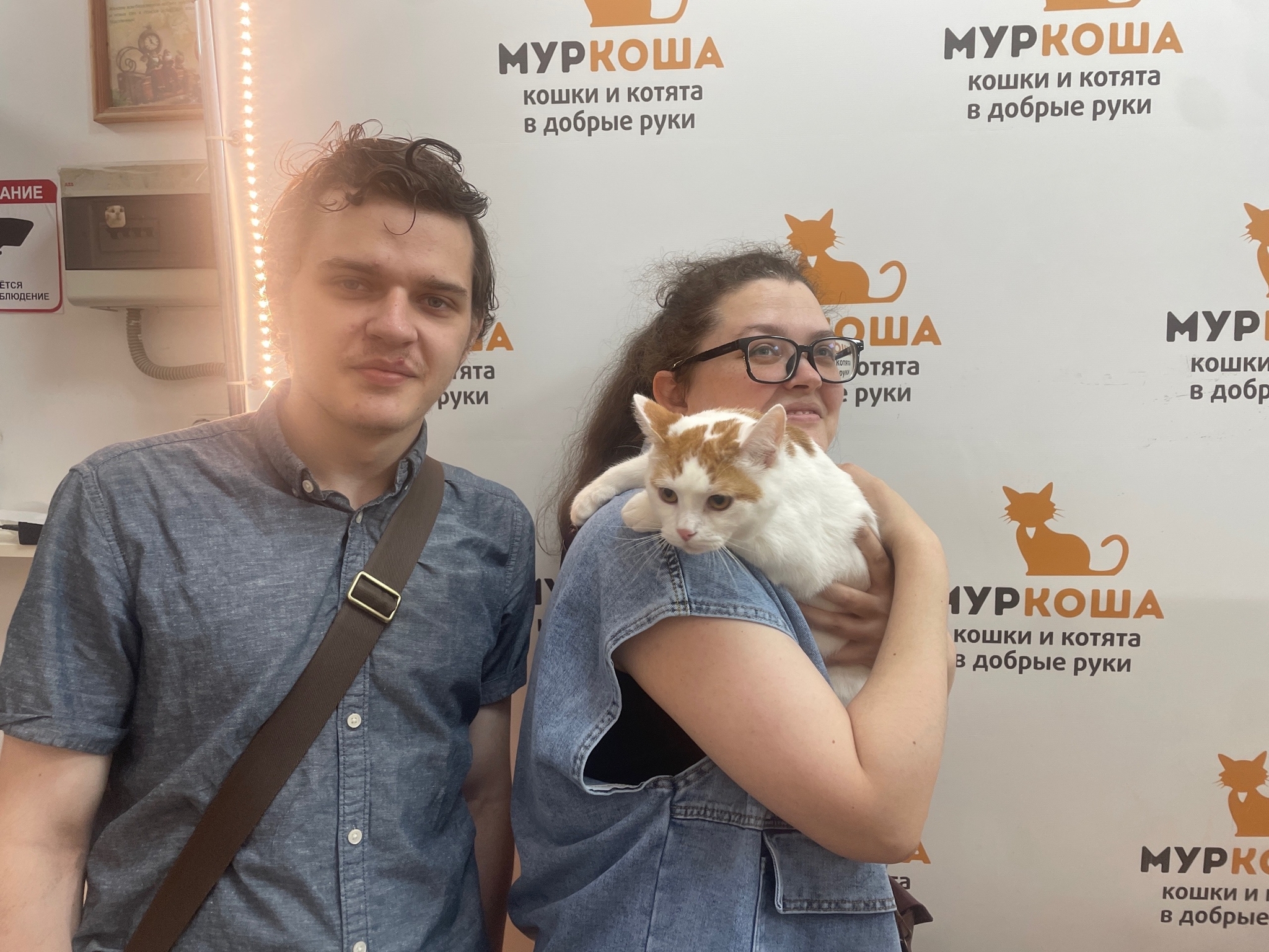 8 kittens have gone home in the last two weeks! - Series Found a home, My, Moscow, Good league, cat, In good hands, Murkosh shelter, Kittens, Paws, Cat lovers, Kindness, Pets, Short videos, Vertical video, Found a home, The photo, Helping animals, Events, Happiness, Miracle, I share my joy, Video, Longpost