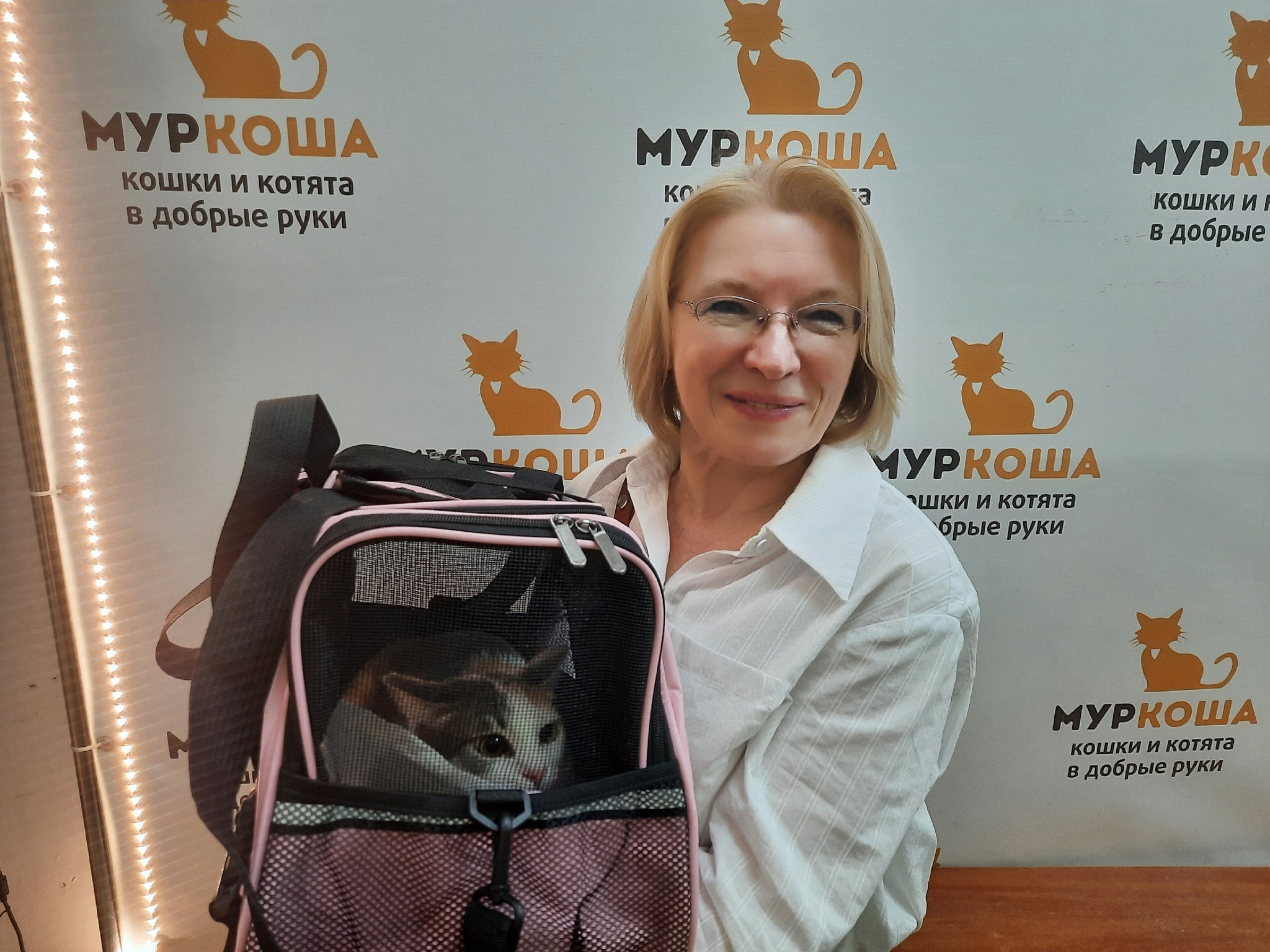 8 kittens have gone home in the last two weeks! - Series Found a home, My, Moscow, Good league, cat, In good hands, Murkosh shelter, Kittens, Paws, Cat lovers, Kindness, Pets, Short videos, Vertical video, Found a home, The photo, Helping animals, Events, Happiness, Miracle, I share my joy, Video, Longpost