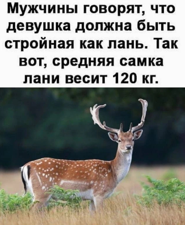 �������� � ��������