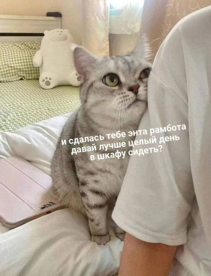 �����