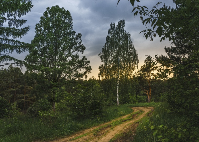 Sony A7 (���������: 7, ��������: 1/80, ISO-640). ��������: Sony sel2870.