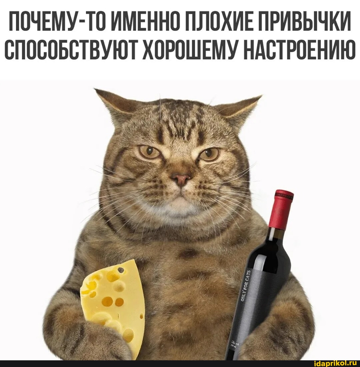 ��������� ��������, ������� ������ ���� �����