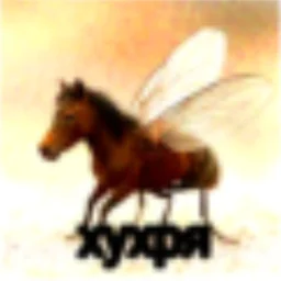 huhryahorse