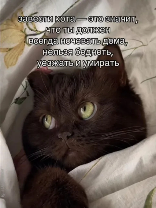 ������ ������� ����� � ������