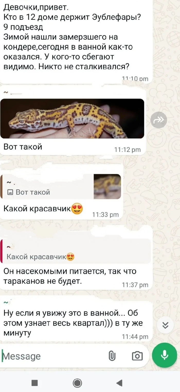 �����...���?