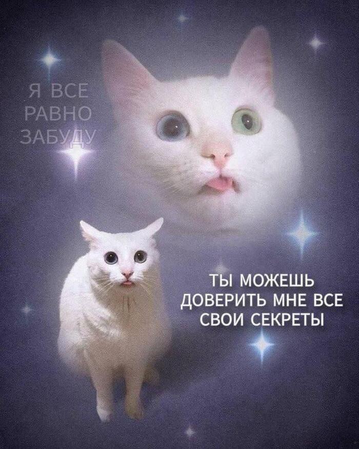 ������������� ������� ���-������?