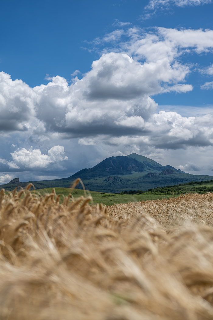 Гора Медовая, Кабанка, Тупая, Острая и Бештау