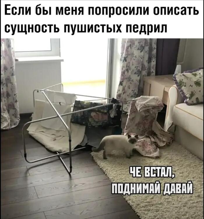ϸ� ����� ��