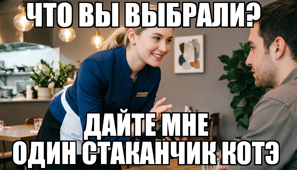 The more I watch, the more I like it and want to watch the cat again) - Coub, Didn't fit, Humor, Positive, Convenience, Video, Vertical video, Short videos