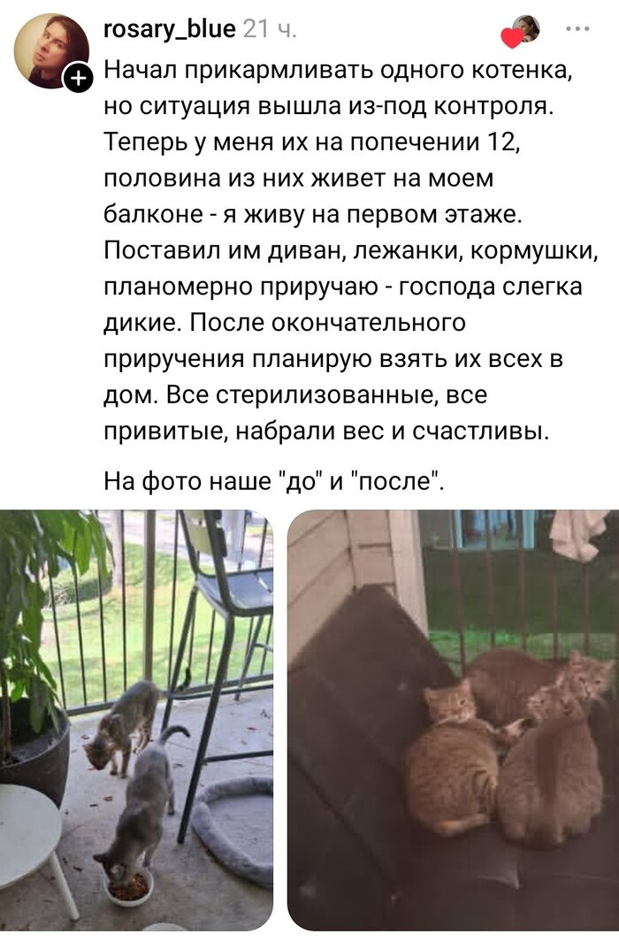 ������ ����������� �� ���� ������� ^_^