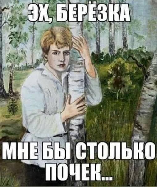 Сколько от вашей почки осталось?