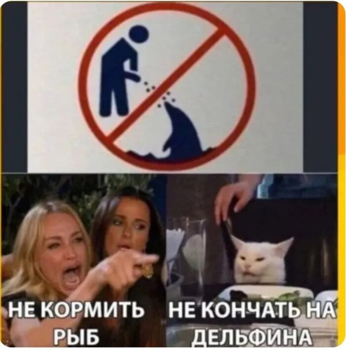 �� ���� ������� ��? (�)