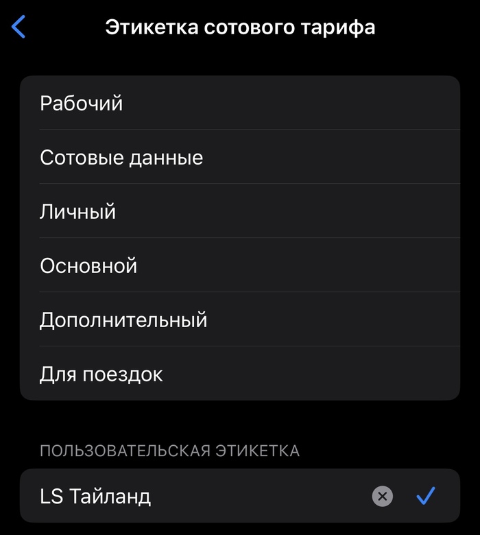 Как установить и активировать eSIM перед поездкой: Пошаговая инструкция в 2026 году