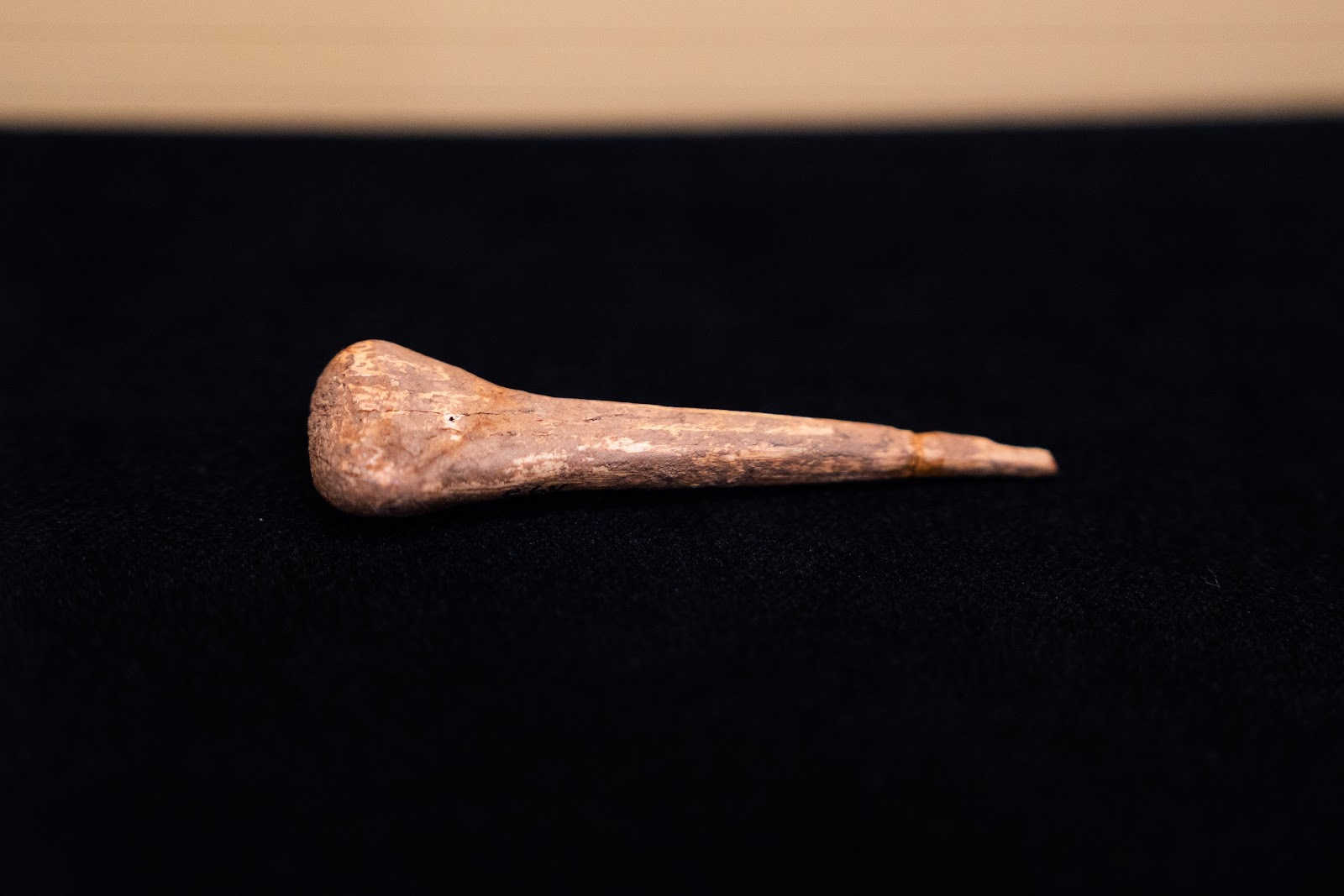 Sungir site. Upper Paleolithic in the central Russian Plain - My, Vladimir region, Vladimir city, Museum, Sungir, Stone Age, Ancient people, Burial, Mammoth tusks, sights, History (science), Archaeological excavations, Longpost