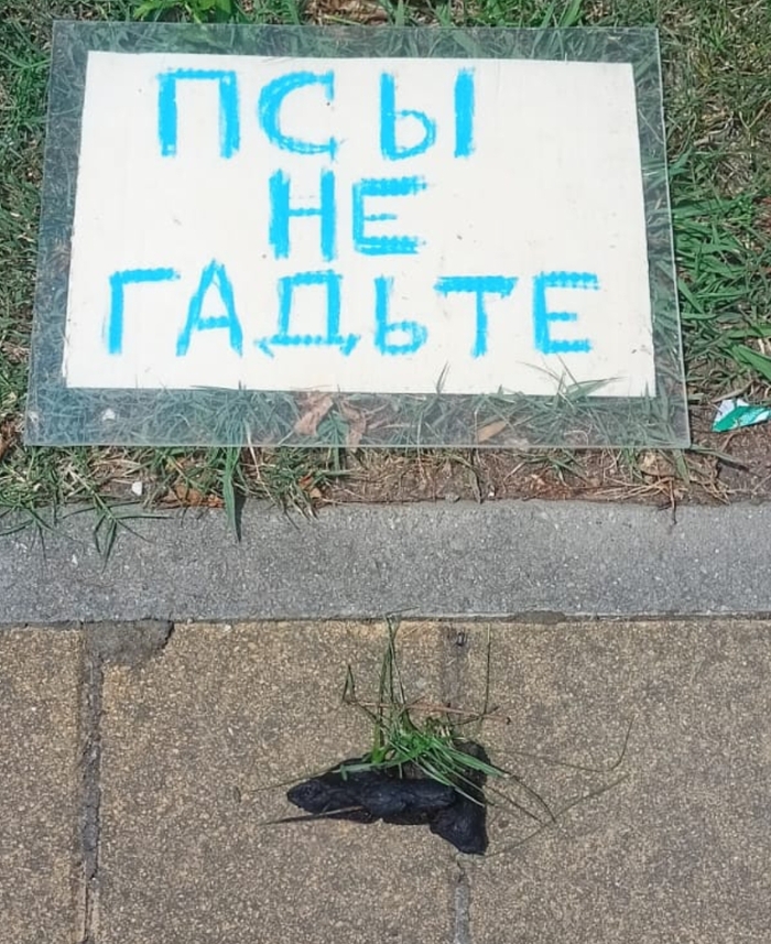 Заголовок придумайте сами