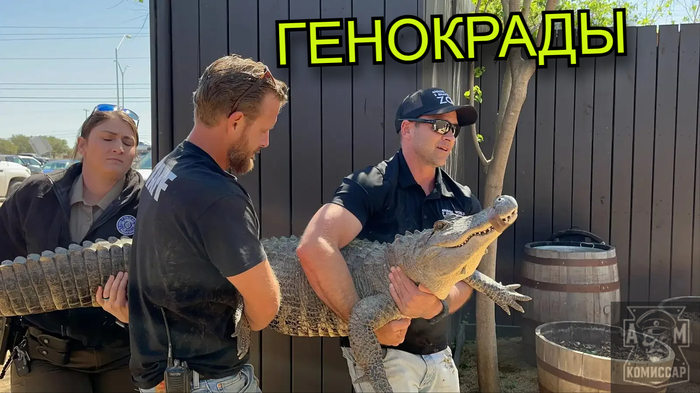 <!--noindex--><a href="https://pikabu.ru/story/gena_na_gena_na_gena_na__14112064?u=https%3A%2F%2Fyoutube.com%2F%40komissaram%3Fsi%3Dz-8PNzA575W2iXnU&t=https%3A%2F%2Fyoutube.com%2F%40komissaram%3Fsi%3Dz-8PNzA575W2iXnU&h=c14f5c798a136d31e3eb4592bb48738420aa79de" title="https://youtube.com/@komissaram?si=z-8PNzA575W2iXnU" target="_blank" rel="nofollow noopener">https://youtube.com/@komissaram?si=z-8PNzA575W2iXnU</a><!--/noindex--> - �� �� �����